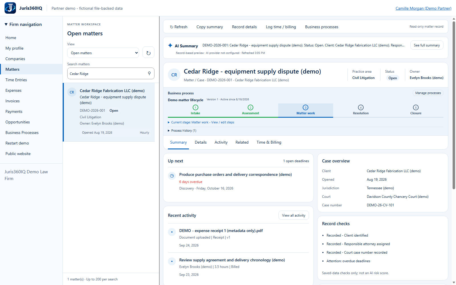 Review the matter, owner and risk flags. Actual captured fictional application screen.
